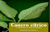 Cancro cítrico - fundecitrus.com.br · III Cancro cítrico: ole “ Aos citricultores, em especial aos mantenedores do Fundecitrus, pela confiança e apoio à instituição” “