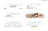 Avicultura de Postura - fcav.unesp.br · 02/06/2016 2 Avicultura de Postura Evolução da Postura Comercial Mundial Milhões de Unidades Países 2003 2006 2012 China –1º 403.600