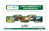 O Meio Ambiente e o Agronegócio - agricultura.mg.gov.bragricultura.mg.gov.br/files/apresenta2009/O_MEIO_AMBIENTE_E_O... · maior declive de rampa maior largura de app maior largura