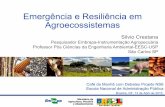 Emergência e Resiliência em Agroecossistemasantigo.enap.gov.br/files/Apresentacao_SilvioCor.pdf · O Sistema Embrapa de Gestão - SEG AGENDA INSTITUCIONAL Diretrizes Operacionais
