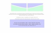 SISTEMA DE CLASSIFICAÇÃO GEOTÉCNICA DE ENCOSTAS …geotecnia.unb.br/downloads/dissertacoes/266-2016.pdf · sistema de classificaÇÃo geotÉcnica de encostas para projetos de estradas