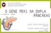 O GENE PDX1 NA DUPLA VIDA DO PÂNCREASbh2012bd2014.yolasite.com/resources/O gene PDX1 na dupla... · PPT file · Web view2014-06-28 · É um regionalizador do pâncreas e essencial