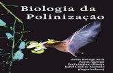 Biologia da Polinização - hbjunior19.files.wordpress.com · biologia vegetal, dedicada a estudar a questão funcio - nal e a biologia floral, que seria dedicada apenas às flores.