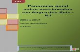 Informe Epidemiológico 2ª Edição - angra.rj.gov.br · Panorama geral sobre nascimentos em Angra dos Reis - RJ 2006 a 2017 Informe Epidemiológico 2ª Edição 2018 Secretaria