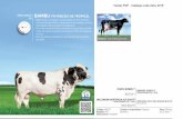 BAMBU FIV RINCƒO DA TROPICAL - Leite Zebu 2018...  75 Paloma - m£e (12.024 kg de leite) BAMBU FIV
