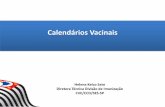 Apresentação do PowerPoint · 4 anos VOPb, DTP, Varicela Anualmente Influenza Calendário de vacinação para o estado de São Paulo 2018 Norma Técnica do Programa de Imunização