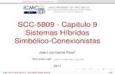 SCC-5809 - Capítulo 9 Sistemas Híbridos Simbólico ...wiki.icmc.usp.br/images/2/26/SCC5809Cap9.pdf · João Luís G. Rosa c 2011 - SCC-5809: Redes Neurais 21/58. Sistemas HíbridosPLN