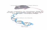 Estudo citogenético em camundongos C57BL/6 selvagens e ...bdtd.uftm.edu.br/bitstream/tede/40/1/Tese_MaraRAlmeidaME.pdf · Ao Prof. Dr. Valdo José Dias da Silva do Laboratório de
