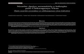 Neurite óptica secundária a infecção pelo Chikungunya Vírus · pelo Chikungunya Vírus Optic neuritis secondary to chikungunya virus infection Natalia Torres Giacomin 1, Nabila