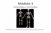 Osteologia e Artrologia - files.aefv-ef.webnode.ptfiles.aefv-ef.webnode.pt/200000578-1437815317/Módulo 1 Tema A... · Osteologia e Artrologia A - Noções fundamentais para o estudo
