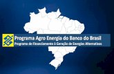 Apresentação do PowerPoint · 2017-07-07 · Programa Agro Energia do Banco do Brasil Objetivo: financiamento para implantação de usinas geradoras de energias alternativas e renováveis,