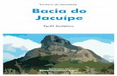Território de Identidade Bacia do Jacuípe · 4 5 Caracterização O Território de Identidade Bacia do Jacuípe possui extensão total de 10,6 mil quilômetros quadrados e população