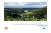 Relatório de Impacto Ambiental Pequena Central ... · Relatório de Impacto Ambiental Pequena Central Hidrelétrica (PCH) Salto Alemã Rio Chopim – PR Julho / 2018