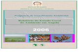 Relatório do Estado Geral do Ambiente em Angola · principais questões do ambiente incluem entre outras, a perda de habitats e da diversidade biológica, a ... populações, no