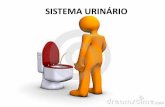 SISTEMA URINÁRIO - santainesrs.com.br · Os cálculos do sistema urinário são geralmente classificados em função da sua localização nos rins, ureter, uretra ou bexiga, ...