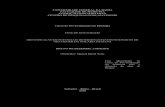 UNIVERSIDADE FEDERAL DA BAHIA FACULDADE DE …bvsms.saude.gov.br/bvs/publicacoes/premio2010/doutorado/trabalho_bruno... · numerais romanos: Manuscrito I ... computational expert