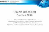 Trauma Urogenital Proteus 2016 - rvmais.com.brrvmais.com.br/homologacao/proteus/2016/aulas/07-04... · Trauma Renal •Órgão urogenital mais afetado pelo trauma •3 Homens : 1
