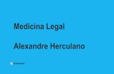 Medicina Legal Alexandre Herculano · Meissner Glandula sudorípara Glandula sebácea Terminaçöes nervosas Epiderme Derme ipoderme Artérias Email— X GoConqr- Edith X Questões