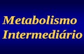 Metabolismo Intermediário - ufrgs.br em PDF/41-Sistema Endócrino... · Metabolismo Intermediário. KB. LIVER HMP iycogen Pyruvate Amino acids Acetyl COA ... Glycogen LIVÉÁ Pyruvate