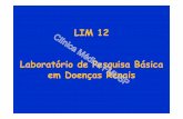 LIM 12 Laboratório de Pesquisa Básica em Doenças Renais · N-acetylcysteine prevents pulmonary edema and acute kidney injury in rats with sepsis submitted to ... Rodrigues LP,