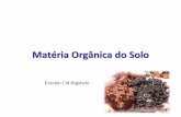 Matéria Orgânica do Solo - fcav.unesp.br · Solo receptáculo final • Vegetação –Responsável pela deposição de materiais orgânicos no solo 3