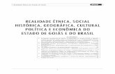 REALIDADE ÉTNICA, SOCIAL HISTÓRICA, GEOGRÁFICA, … · 3 Realidade Étnica do Estado de Goiás REALIDADE ÉTNICA, SOCIAL, HISTÓRICA, GEOGRÁFICA, CULTURAL, POLÍTICA E ECO-NÔMICA