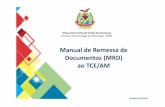 Manual de Remessa de Documentos (MRD) - Portal e-Contas - …suporte.tce.am.gov.br/wp-content/uploads/2018/03/Manual... · 2018-03-02 · Analisa dados informados. 1.3. ... Remessa