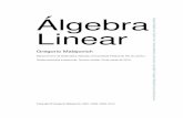 Álgebra Linear - labma.ufrj.brgregorio/livro/al2.pdf · Alguns outros livros de Álgebra Linear 173 33 2. Ferramentas de referência na internet 173 34 3. Recursos computacionais