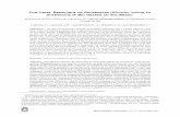 LOW LEVEL RESISTANCE OF GOOSEGRASS Eleusine indica TO ... · Planta Daninha, Vi çosa-MG, v. 31, n. 3, p. 677-686, 2013 Low level resistance of goosegrass (Eleusine indica) to ...