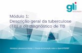 Módulo 1: Descrição geral da tuberculose (TB) e do ... · -10- Pacote de formação sobre o Xpert MTB/RIF A Mycobacterium tuberculosis é quase sempre transmitida por doentes que