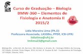 Curso de Graduação Biologia BMW-360 Elementos de ... · Bronquíolos estão sujeitos ao reflexos do sistema nervoso e hormonal A RVA pode ser obtida com o auxílio da pletismografia.