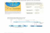 Regulação da expressão génica em eucariotas Regulaçao da... · B.M.G.6 - Controlo da expressão genética em eucariotas 4 A RNA polimerase II não é capaz de iniciar eficientemente