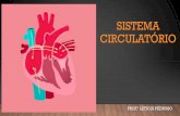 SISTEMA CIRCULATÓRIO - irp-cdn.multiscreensite.com 4 - Sistema... · SISTEMA CIRCULATÓRIO •Formado pelo coração, vasos sanguíneos e o sangue. •Função da circulação do