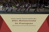 Din Amazonia in Pampas - s3-eu-west-1.amazonaws.com · Bem-Vindo = Bine a i venit! (în portugheză). O ărişoară mai puin decât jumătate din România, ... Cum se spune în franceză