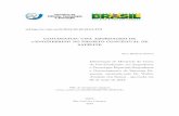 CLOUDSATCD: UMA ABORDAGEM DE e-ENGINEERING NO …mtc-m16d.sid.inpe.br/col/sid.inpe.br/mtc-m19/2013/05.06.22.04/doc/pub... · SATELITE´ Alex Barbosa Bastos ... Dra Maria do Carmo