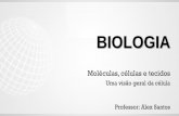 Uma visão geral da célula Professor: Alex Santos · I - Introdução a citologia 1.1 – Conceitos fundamentais: • Citologia: Área da biologia responsável pelo estudo das estruturas