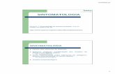 Sintomatologia [Modo de Compatibilidade] - LABFITOPlabfitop.paginas.ufsc.br/files/2017/04/Aula3-Sintomatologia.pdf · 01/04/2013 3 Classificação dos sintomas Sintomas histológicos