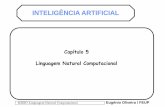 No Slide Title - paginas.fe.up.ptpaginas.fe.up.pt/~eol/IA/1415/APONTAMENTOS/5_Ln.pdf · MIEIC/ Linguagem Natural Computacional Eugénio Oliveira / FEUP Linguagem Natural Computacional