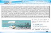 Divulga ção de Resultados - ipma.pt · encontra-se PDF interativo do livro intitulado “Pequena pesca na costa continental Portuguesa”. 2 Nesta secção faz-se uma descrição