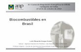 Biocombustibles en Brasil - ariae.org papel de los... · • Precios del petróleo y de la gasolina –como actúan • El menor rendimiento (en km/l) del etanol debe se reflejar