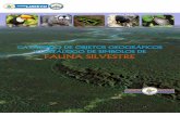 CATÁLOGO DE OBJETOS GEOGRÁFICOS Y CATÁLOGO DE …geoportal.regionloreto.gob.pe/wp...Fauna-Silvestre-Final_20072017.pdf · de flora y fauna silvestre y sus hábitats, con la finalidad