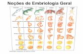 Noções de Embriologia Geral - facos.edu.brfacos.edu.br/moodle/pluginfile.php/22031/mod_resource/content/3... · Um dos critérios utilizados na classificação dos animais é o