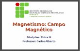 Magnetismo: Campo Magnético - Física · Até o início do século XIX, não se conhecia a relação entre a eletricidade e o magnetismo. Segundo algumas versões, em 1820 Hans Christian