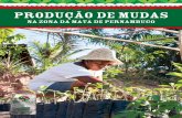 PRODUÇÃO DE MUDAS - centrosabia.org.br · árvores para construir móveis, ou mesmo um banco, que não utiliza diretamente algum produto da natureza, mas está cercado por ela;