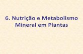 6. Nutrição e Metabolismo Mineral em Plantas - ufjf.br · para culturas anuais conforme a disponibilidade do nutriente em solos de Cerrado. Como: - CTC a pH 7,0 = 8,0 cmolc / dm3;