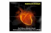 Biofísica da circulação - biofisica-da-bia.webnode.com · SISTEMA CARDIOVASCULAR É um sistema aberto, porém com circuito fechado!!! • Coração (bomba cardíaca) • Vasos