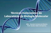 Técnicas moleculares do Laboratório de Biologia Molecular€¦ · Marcadores moleculares ... Componentes da PCR . Tipos de reações de PCR RT-PCR (Reverse Transcriptase Chain Reaction)