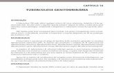 TUBERCULOSE GENITOURINÁRIA - urologiauerj.com.br · As espécies M. tuberculosis e M. africanum infectam apenas os seres humanos, enquanto as outras infectam seres humanos e outros
