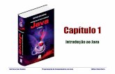 Capítulo 1 - ruirossi.pro.br · Rui Rossi dos Santos Programação de Computadores em Java Editora NovaTerra 4. Qual foi o primeiro nome atribuído à linguagem que, hoje, é conhecida