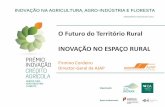 O Futuro do Território Rural INOVAÇÃO NO ESPAÇO RURAL · - Agricultura familiar – tem que ser mais apoiada no futuro devido ao importante contributo para a coesão económico-social,